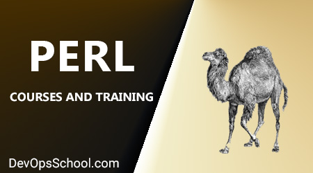 Perl Scripting for DevOps Training by SCMGalaxy