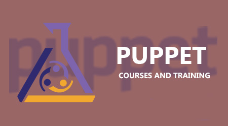 Puppet Training by SCMGalaxy