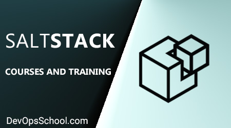 SaltStack Training by SCMGalaxy