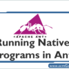 native-programs-in-ant