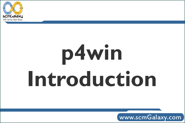 p4win-introduction
