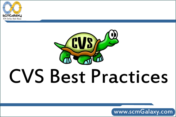 What are the Best Practices of CVS?