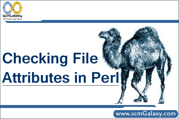 How to Check  File Attributes in Perl ? Perl File Attributes explained