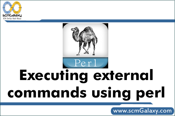 How to Execute external commands by using perl?