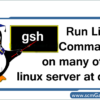 gsh-run-linux-commands